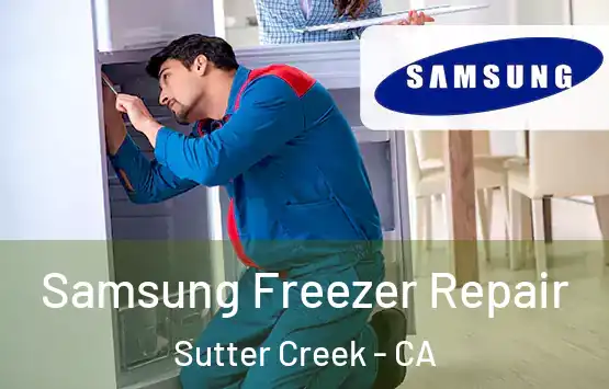  Samsung Freezer Repair Sutter Creek - CA