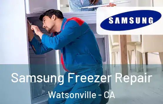  Samsung Freezer Repair Watsonville - CA