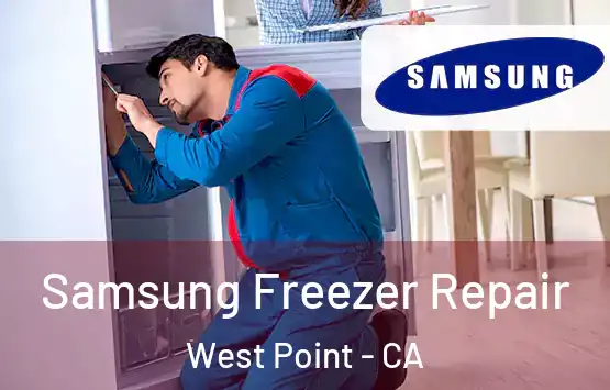  Samsung Freezer Repair West Point - CA