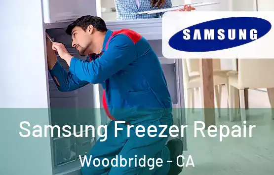  Samsung Freezer Repair Woodbridge - CA