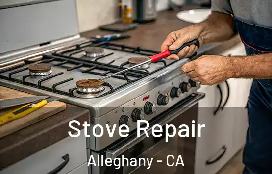  Stove Repair Alleghany - CA