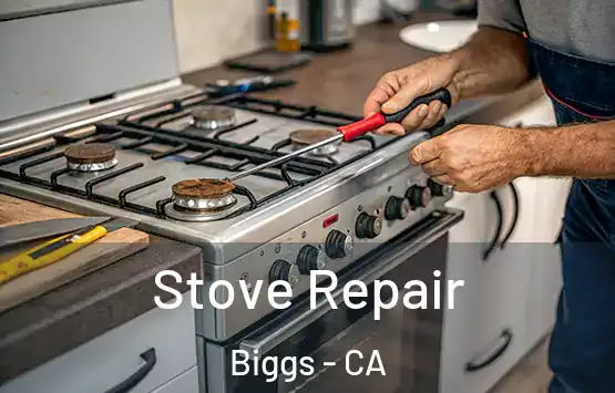  Stove Repair Biggs - CA