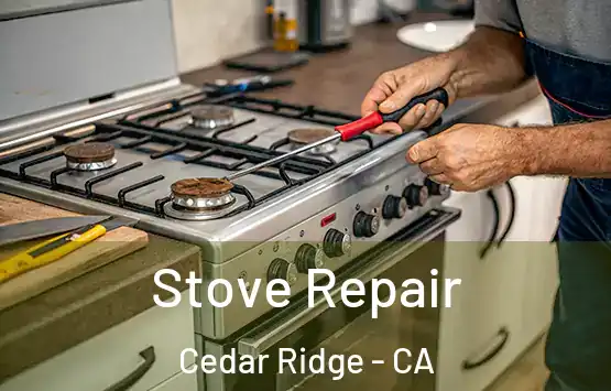  Stove Repair Cedar Ridge - CA