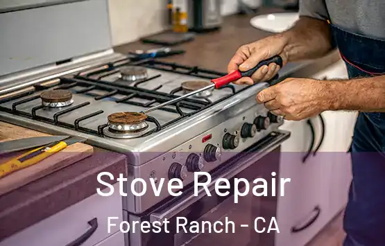  Stove Repair Forest Ranch - CA