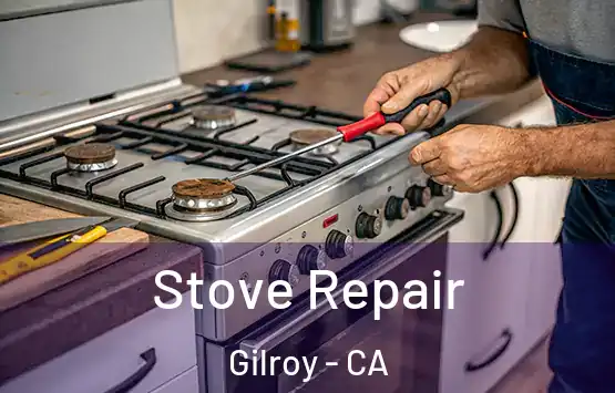  Stove Repair Gilroy - CA