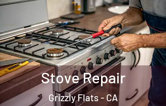  Stove Repair Grizzly Flats - CA
