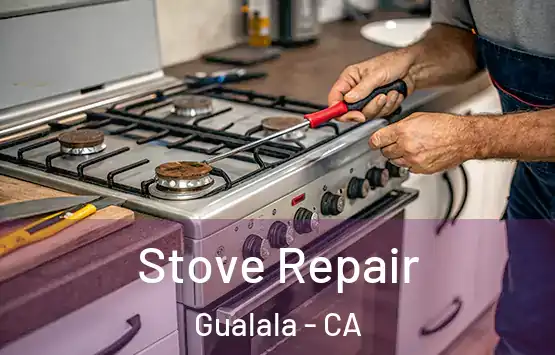  Stove Repair Gualala - CA