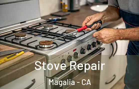  Stove Repair Magalia - CA