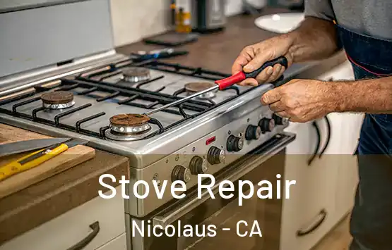  Stove Repair Nicolaus - CA