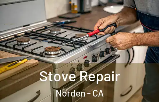  Stove Repair Norden - CA