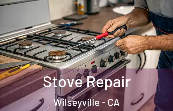  Stove Repair Wilseyville - CA