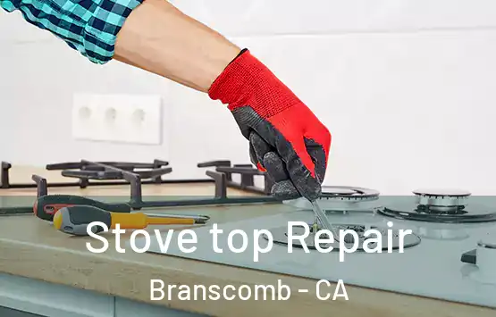  Stove top Repair Branscomb - CA