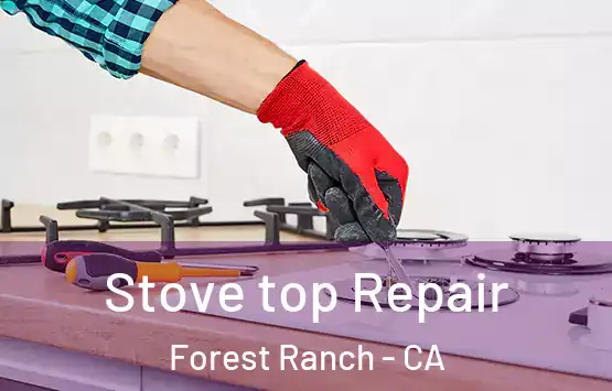  Stove top Repair Forest Ranch - CA