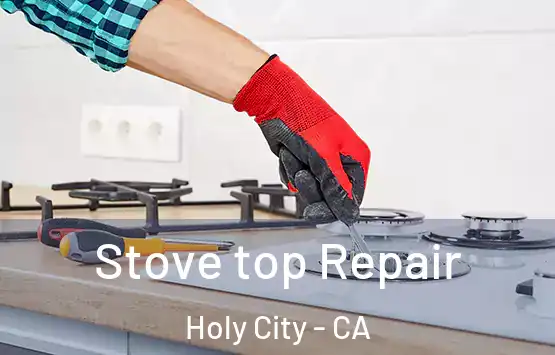  Stove top Repair Holy City - CA