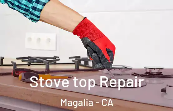  Stove top Repair Magalia - CA