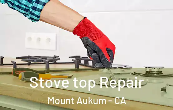  Stove top Repair Mount Aukum - CA