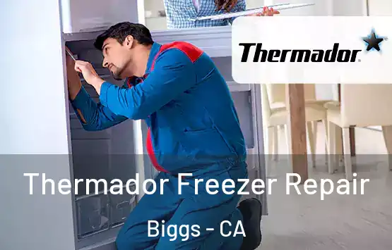  Thermador Freezer Repair Biggs - CA