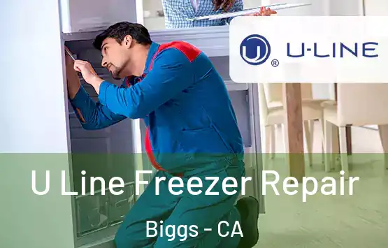  U Line Freezer Repair Biggs - CA