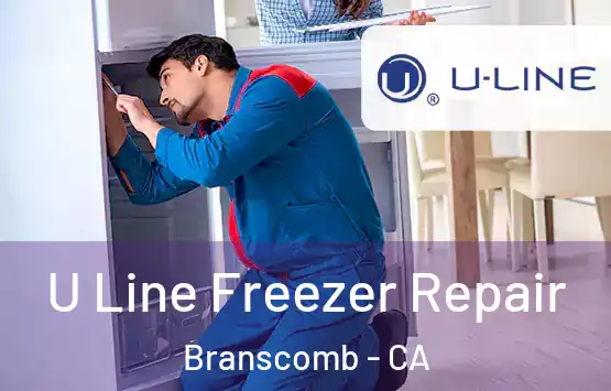  U Line Freezer Repair Branscomb - CA