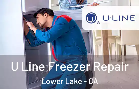  U Line Freezer Repair Lower Lake - CA