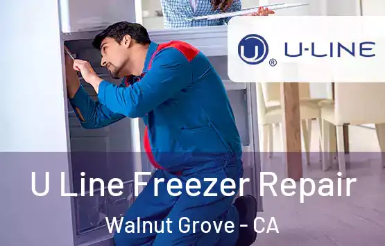  U Line Freezer Repair Walnut Grove - CA