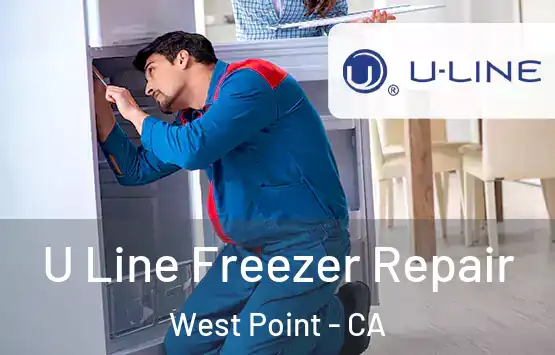  U Line Freezer Repair West Point - CA