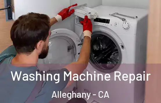  Washing Machine Repair Alleghany - CA
