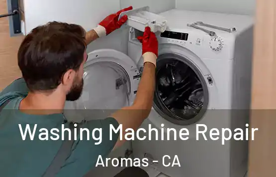  Washing Machine Repair Aromas - CA
