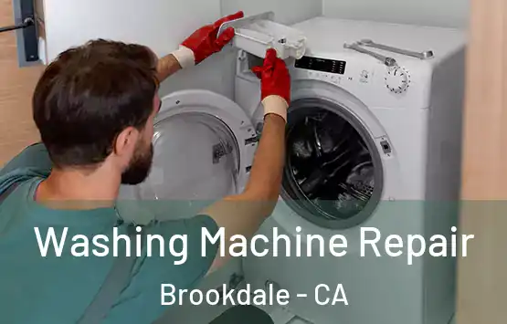  Washing Machine Repair Brookdale - CA