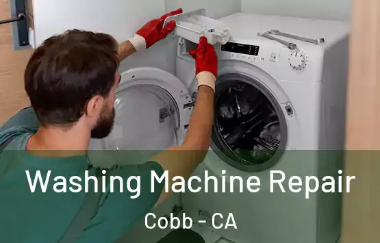  Washing Machine Repair Cobb - CA