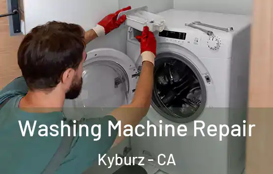  Washing Machine Repair Kyburz - CA