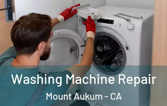  Washing Machine Repair Mount Aukum - CA