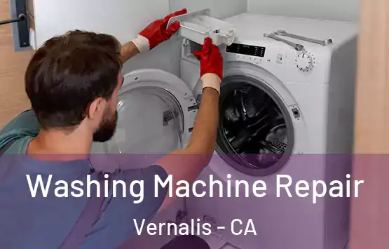  Washing Machine Repair Vernalis - CA