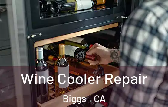  Wine Cooler Repair Biggs - CA