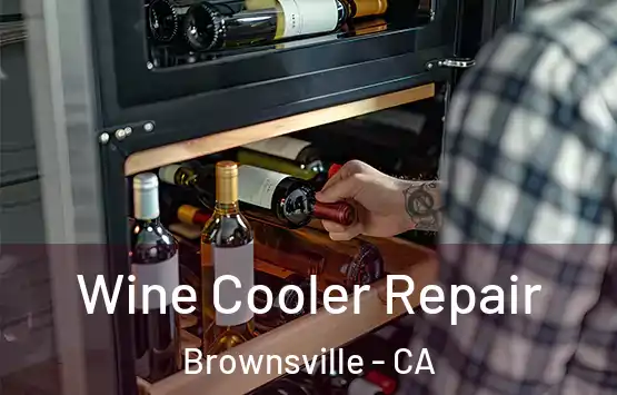  Wine Cooler Repair Brownsville - CA