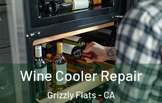  Wine Cooler Repair Grizzly Flats - CA