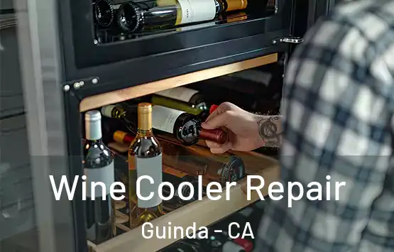  Wine Cooler Repair Guinda - CA