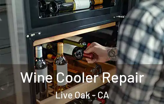  Wine Cooler Repair Live Oak - CA