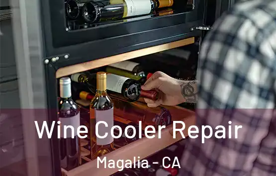  Wine Cooler Repair Magalia - CA