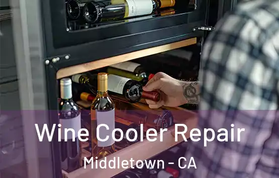  Wine Cooler Repair Middletown - CA