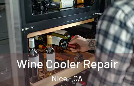  Wine Cooler Repair Nice - CA