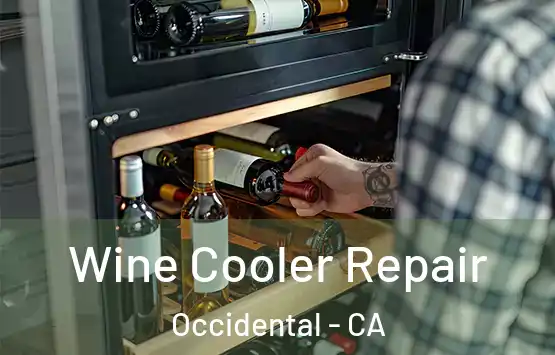  Wine Cooler Repair Occidental - CA