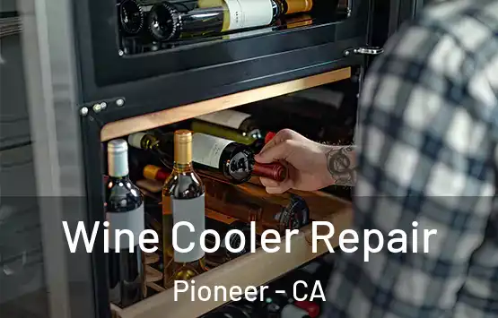  Wine Cooler Repair Pioneer - CA