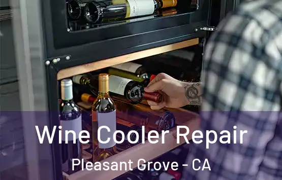  Wine Cooler Repair Pleasant Grove - CA