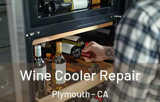  Wine Cooler Repair Plymouth - CA