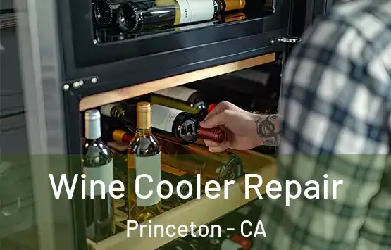  Wine Cooler Repair Princeton - CA