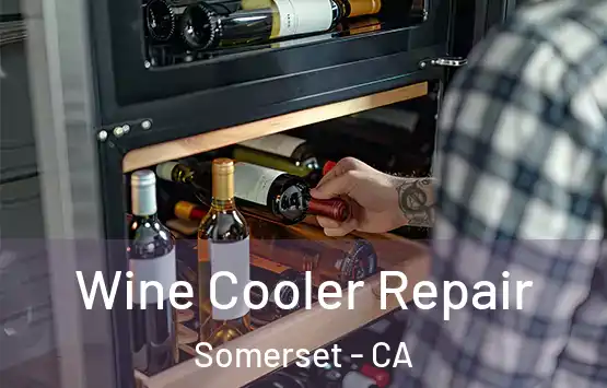  Wine Cooler Repair Somerset - CA