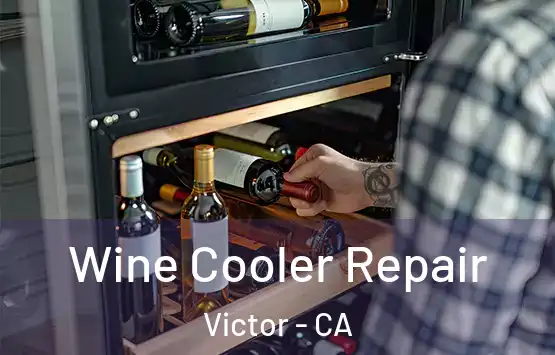  Wine Cooler Repair Victor - CA