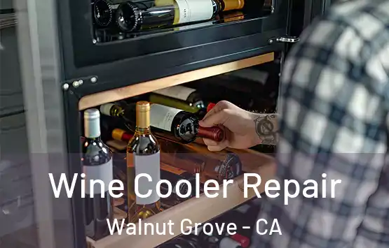  Wine Cooler Repair Walnut Grove - CA