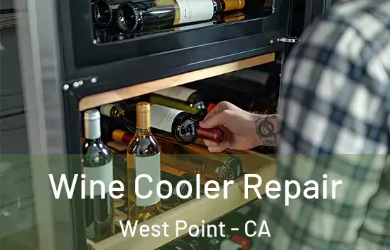  Wine Cooler Repair West Point - CA